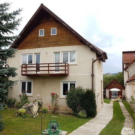 Casa Bunicilor Villa Colonia Sase Martie Exteriör bild