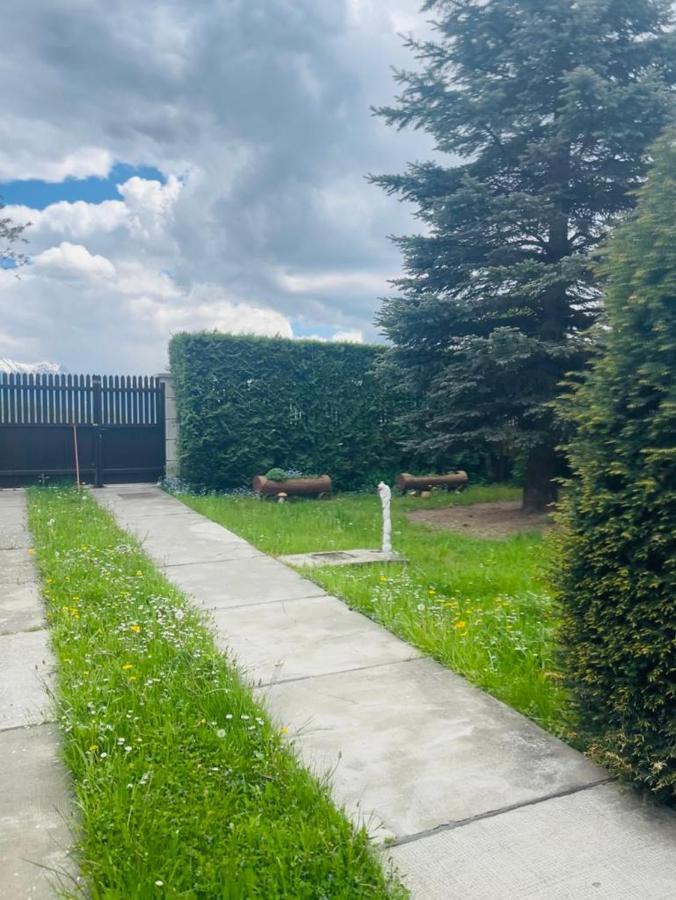 Casa Bunicilor Villa Colonia Sase Martie Exteriör bild