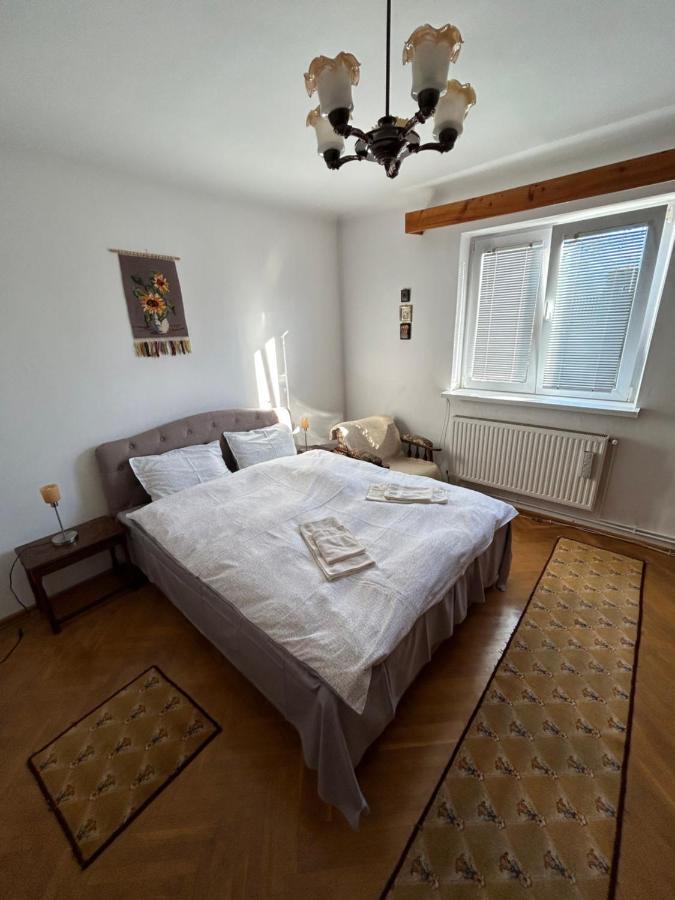 Casa Bunicilor Villa Colonia Sase Martie Exteriör bild
